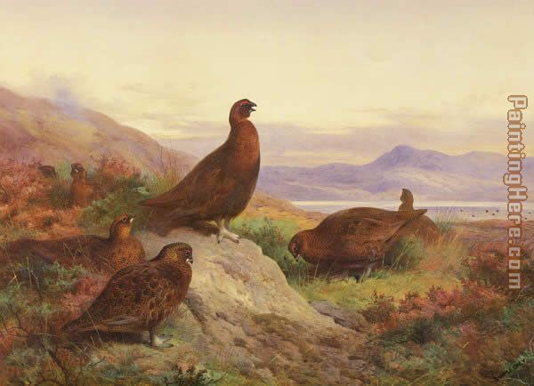 The Morning Call painting - Archibald Thorburn The Morning Call art painting